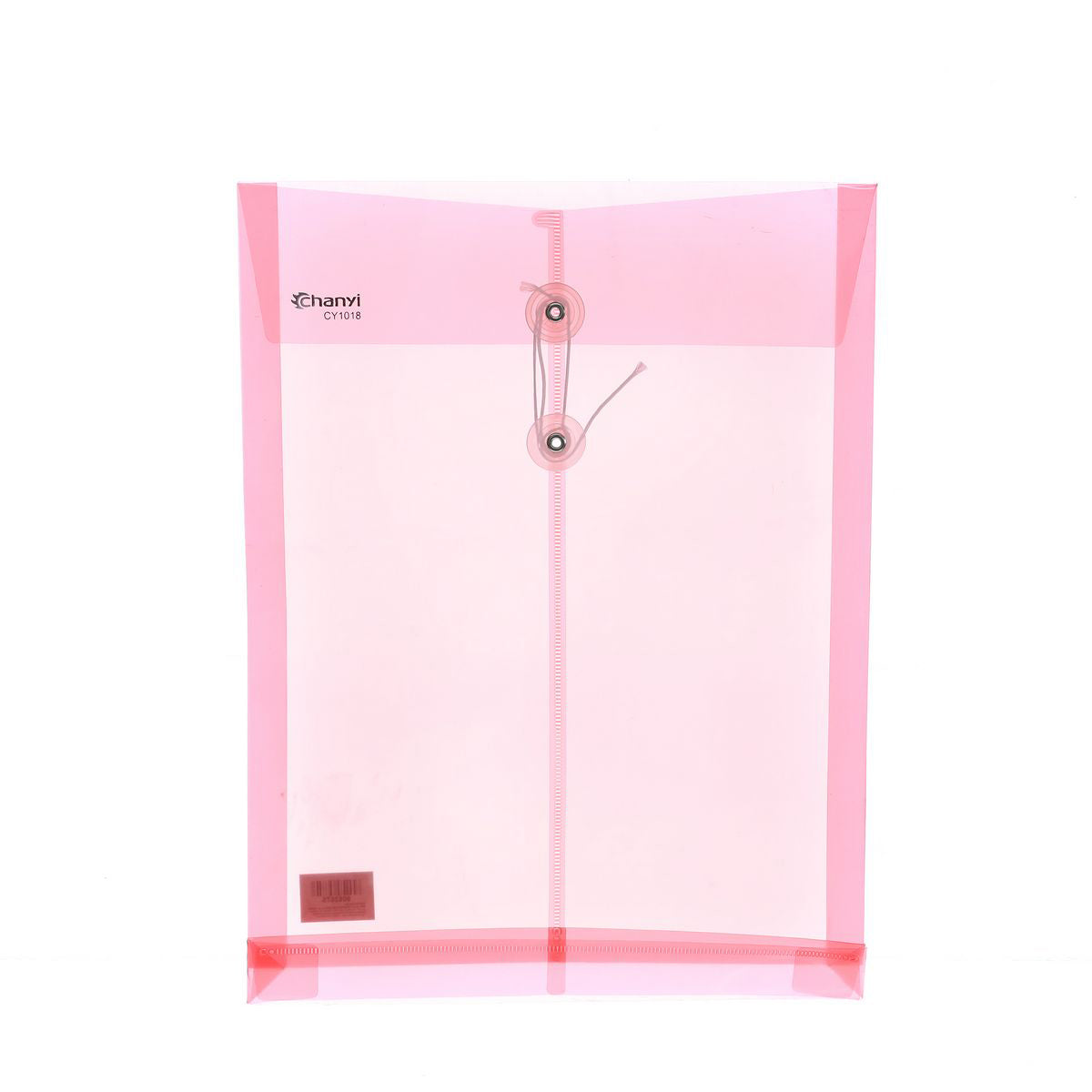 CHANYI Transparent String A4 Document Folder (1pc)