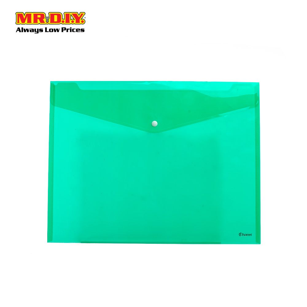 Transparent Document Bag