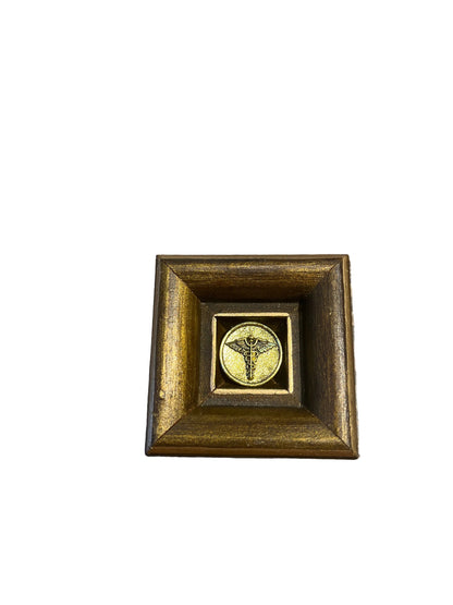 Museum Bees Frames