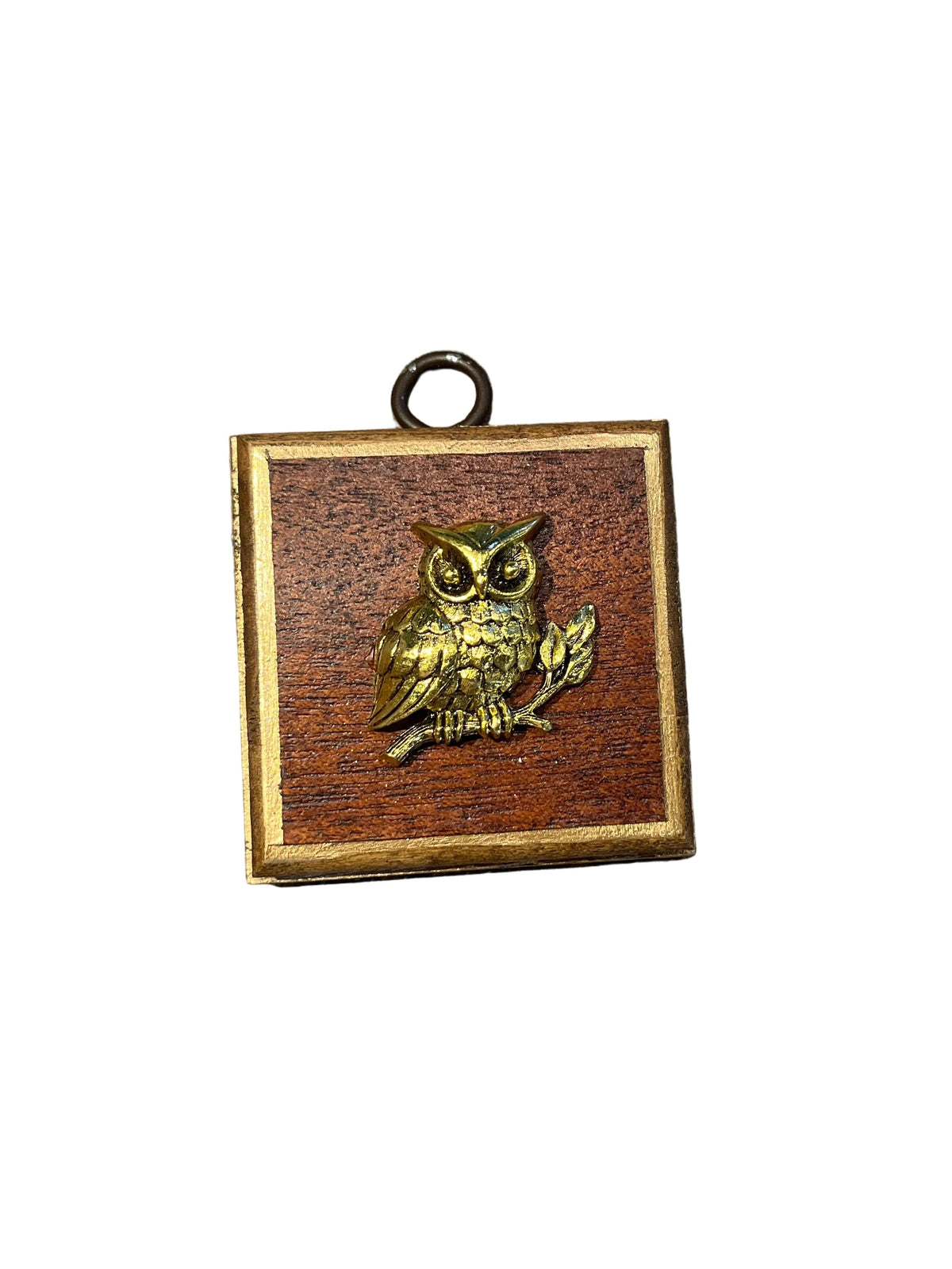 Museum Bees Frames