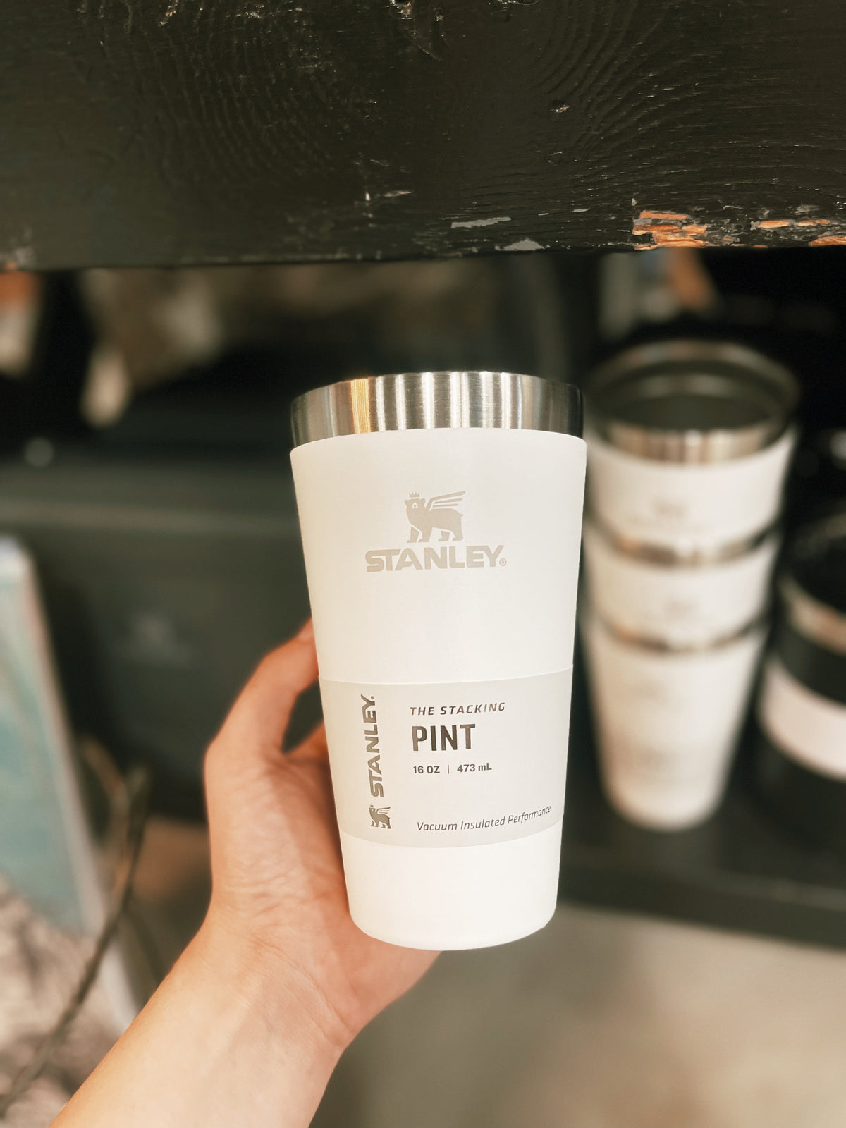 Stanley: Stacking Pint - Frost