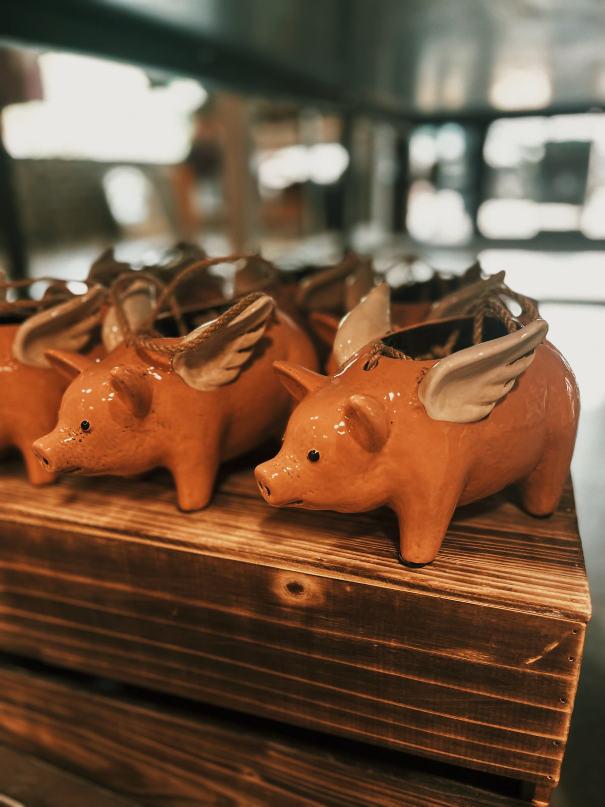 Hanging Flying Pig Planter