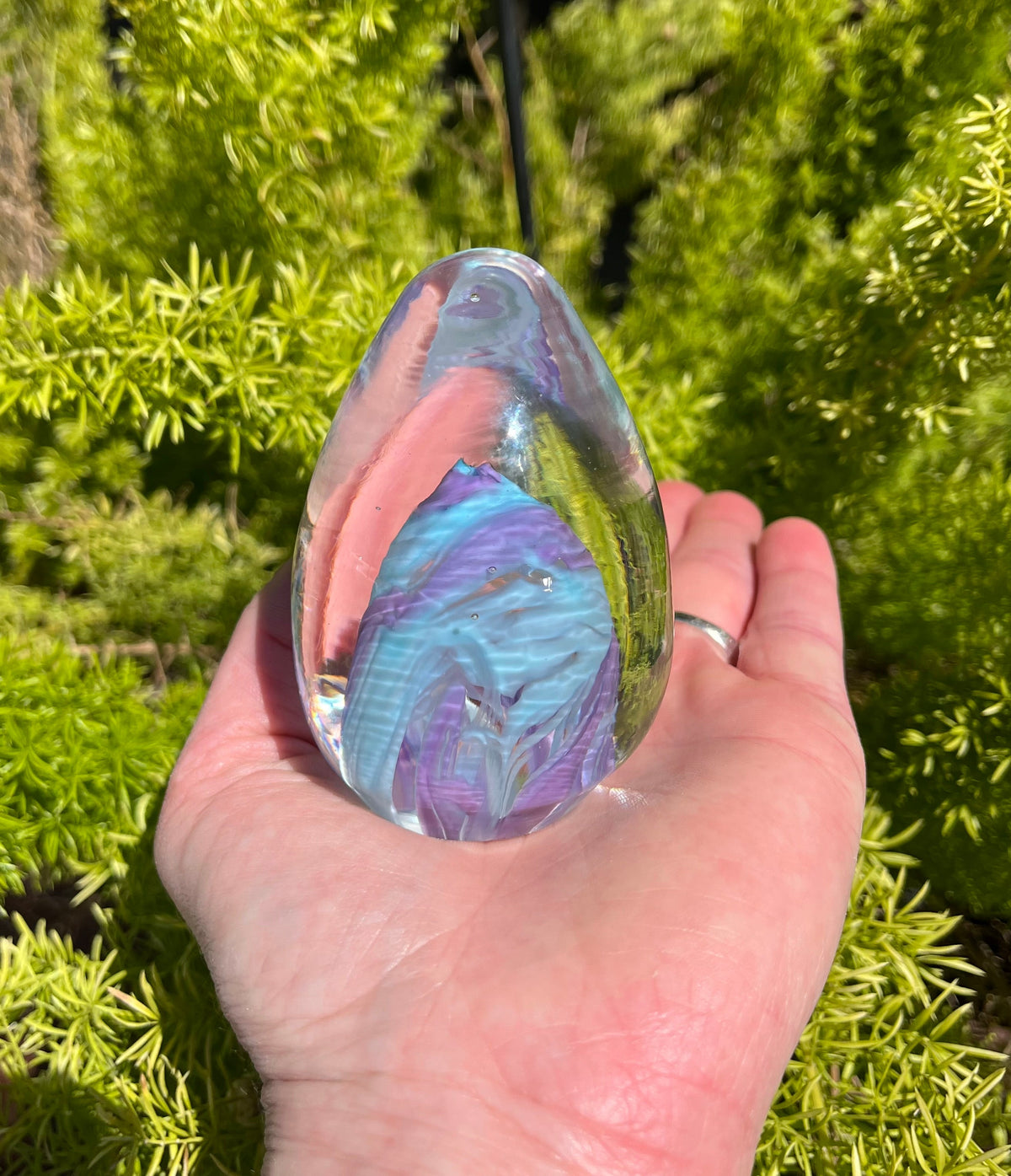 James Hayes Egg