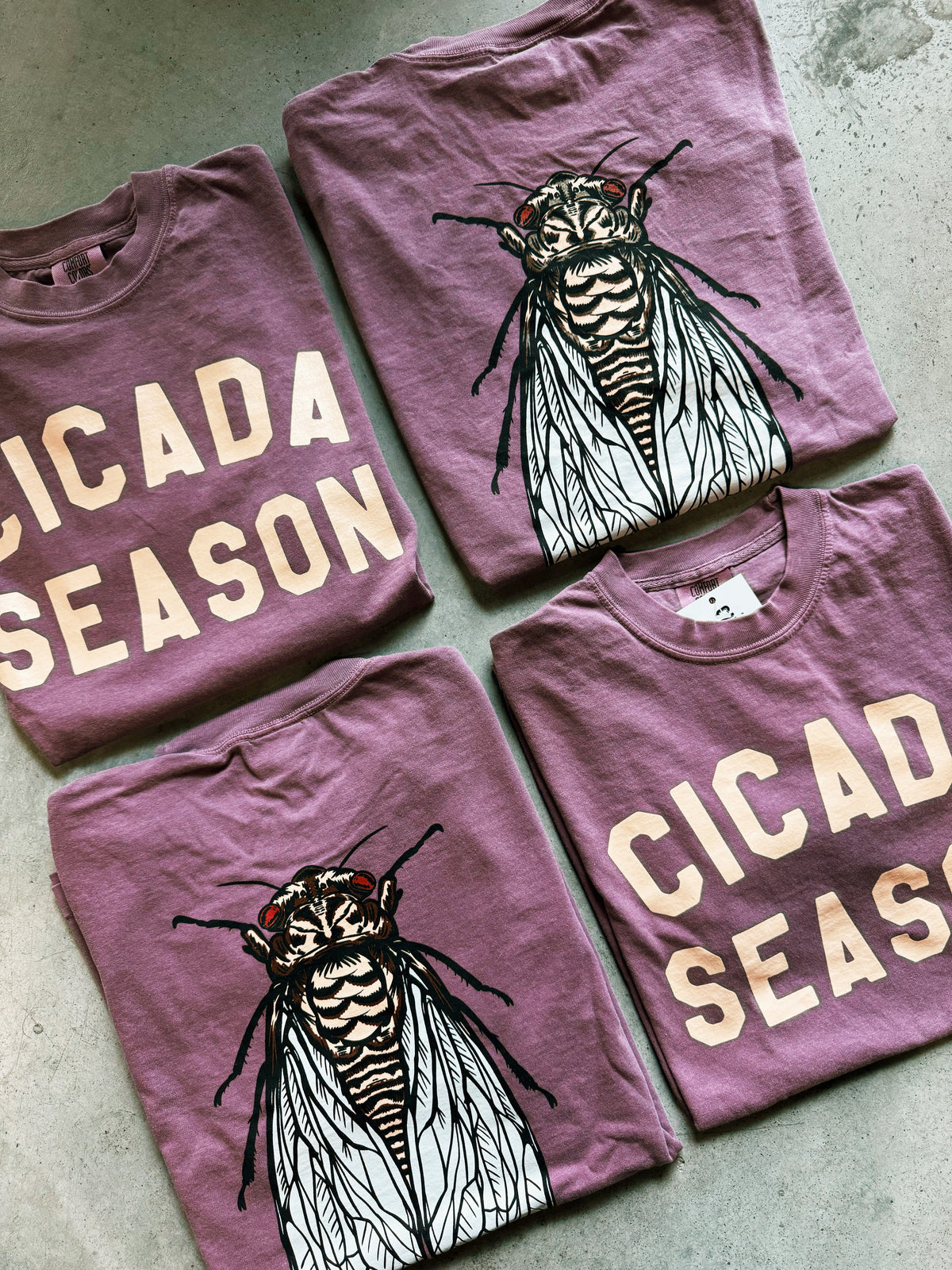 Cicada Season T-Shirt - Purple