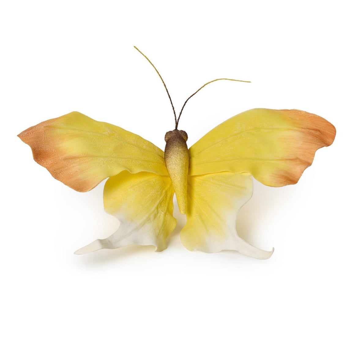 Butterfly Clip Attachment