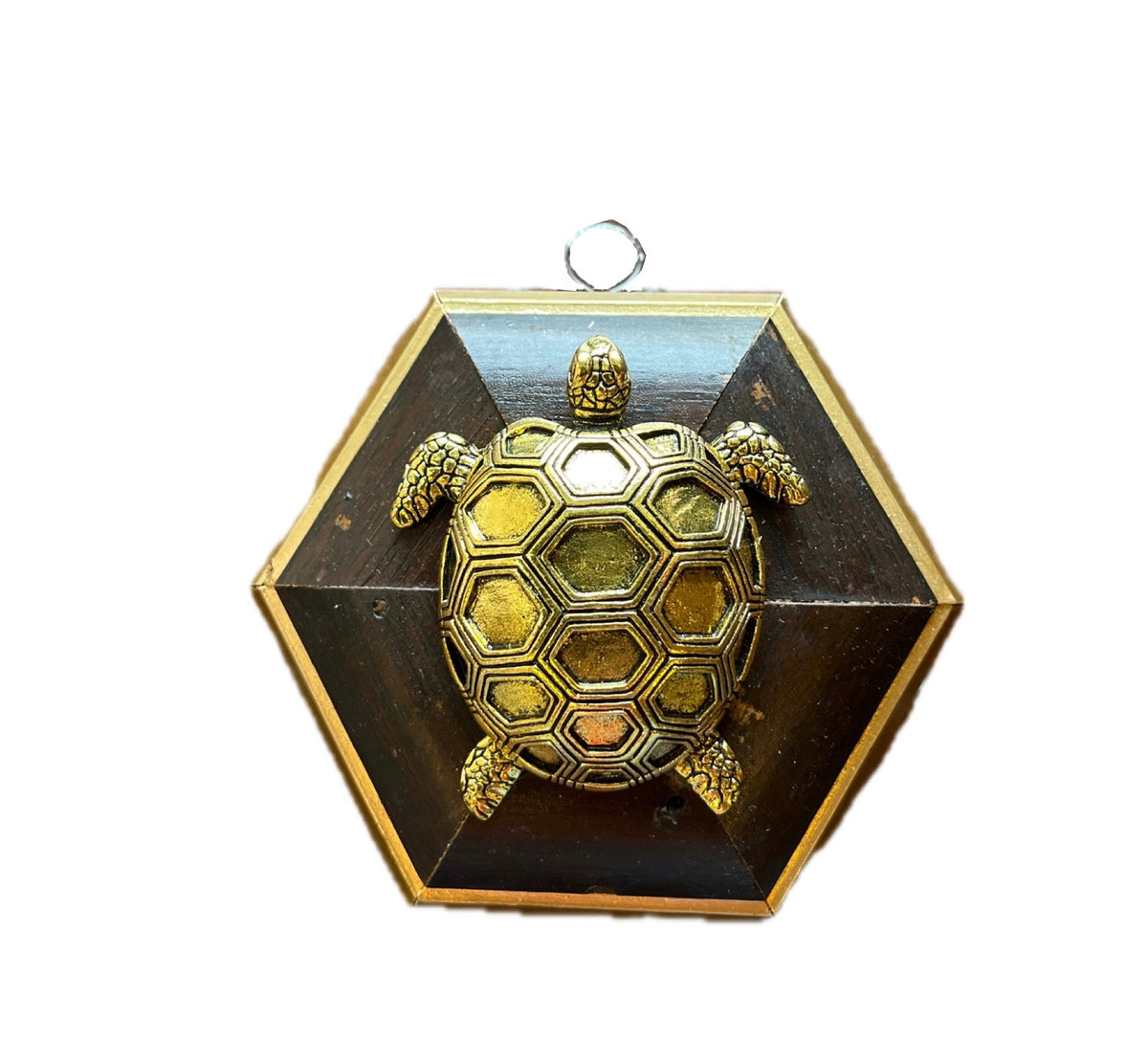Museum Bees Frames
