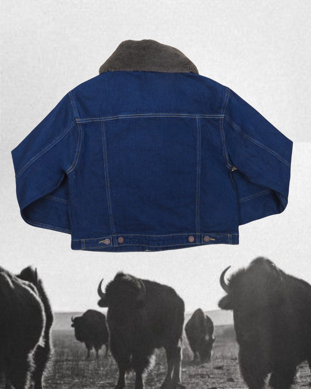 JB Collection Jacket - Dark Denim