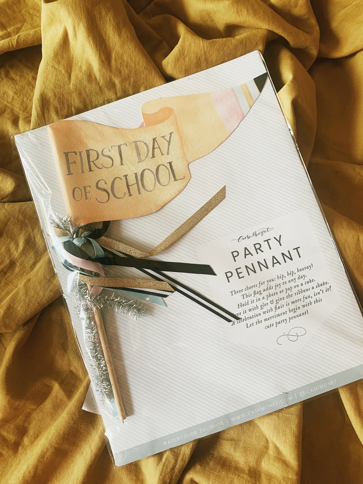 First Day of School Party Pennant