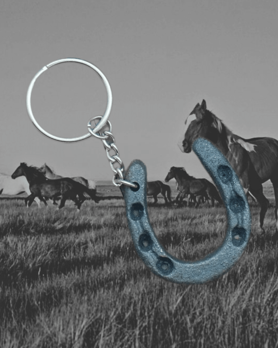 Lucky Horseshoe Key Chain