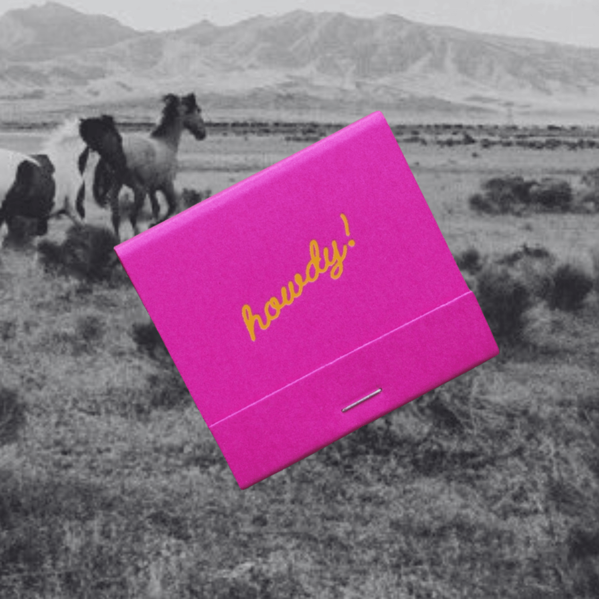 "Howdy!" Matches