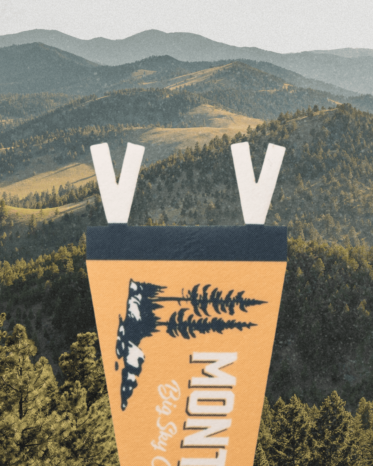 Montana Felt Pennant