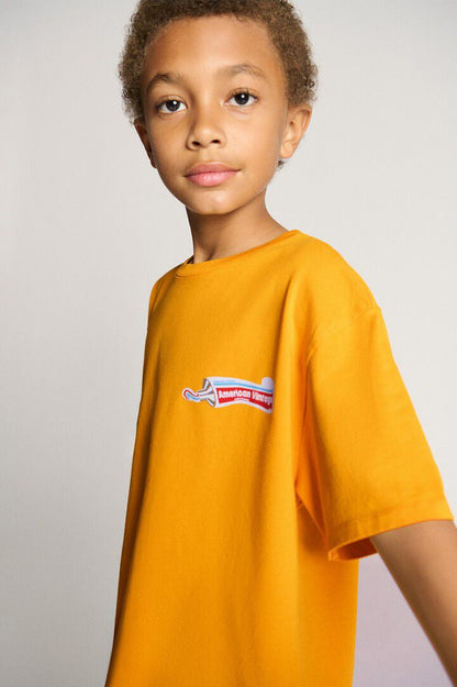 AMERICAN VINTAGE FIZVALLEY T SHIRT - VINTAGE LIGHT