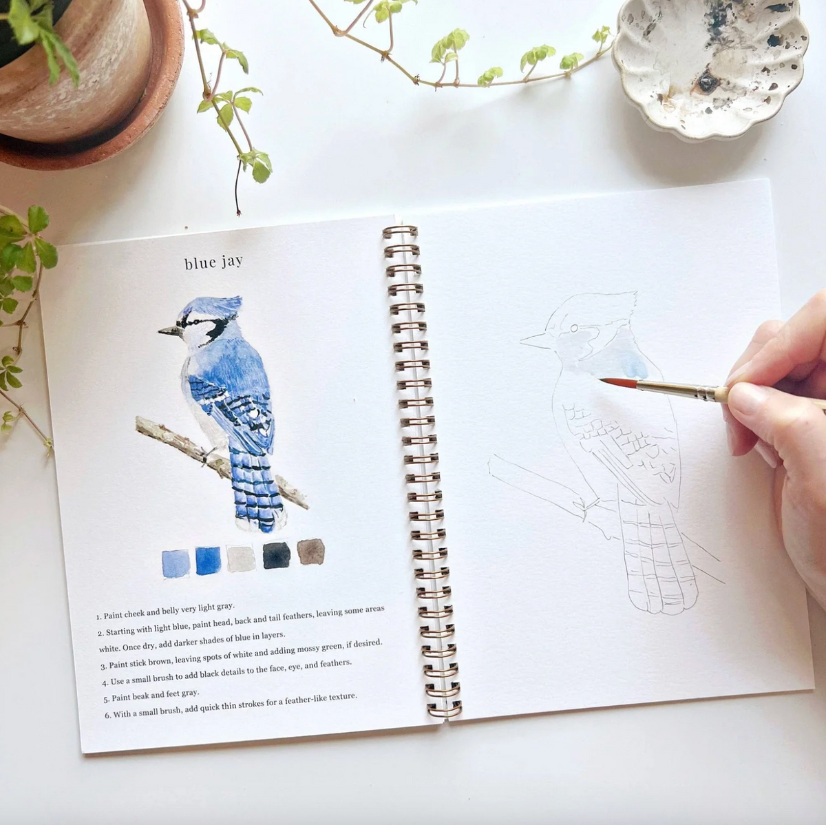 Emily Lex Studio Birds Watercolor Workbook