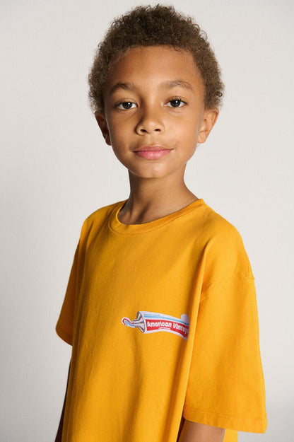 AMERICAN VINTAGE FIZVALLEY T SHIRT - VINTAGE LIGHT