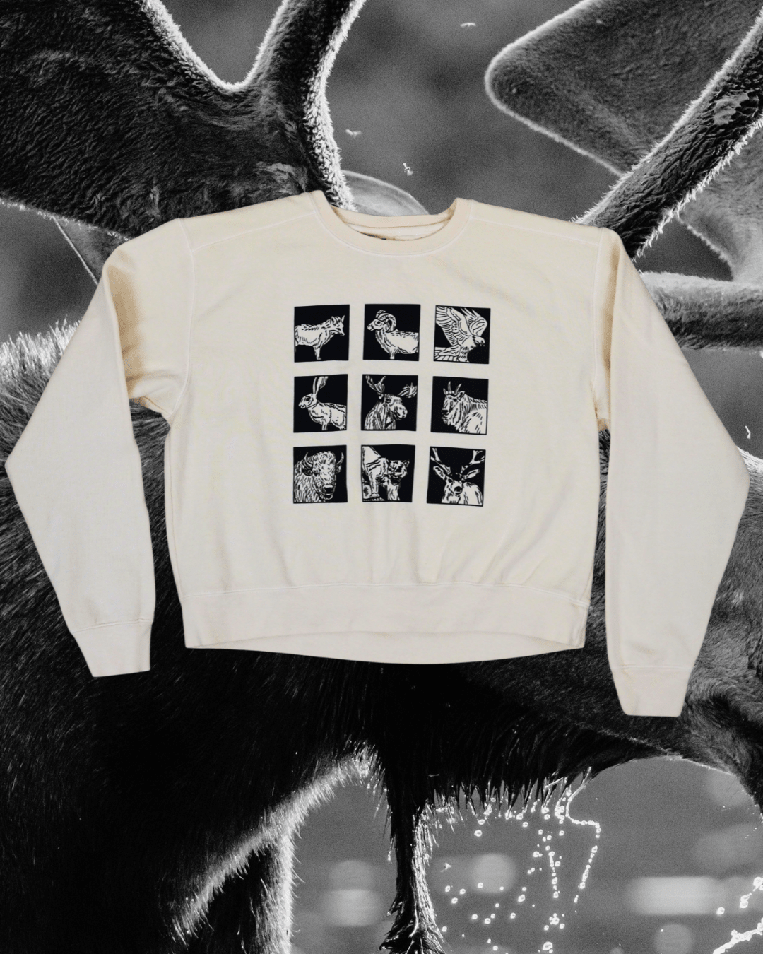 "Montana Brady Bunch" Crop Pullover