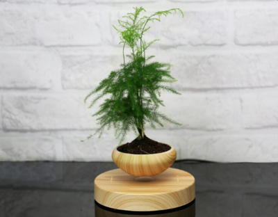 Magnetic Levitation Plant Pot with Floating Flowers