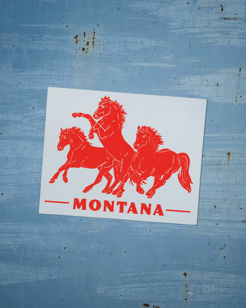 "Horsepower" Magnet