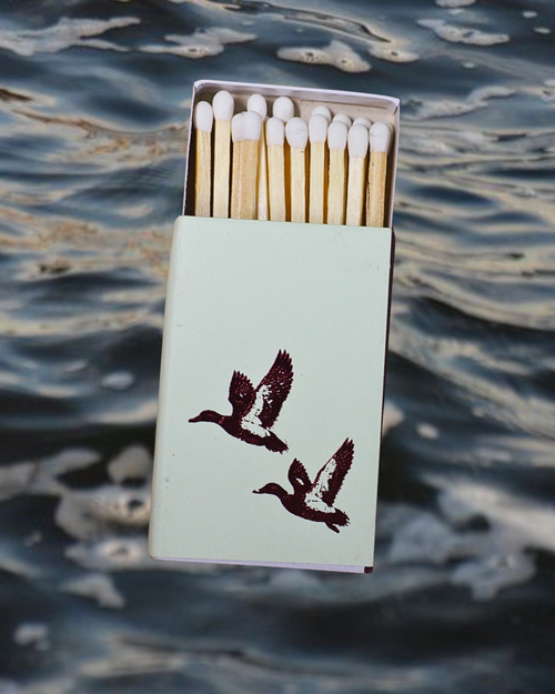 "Montana Migration" Matches