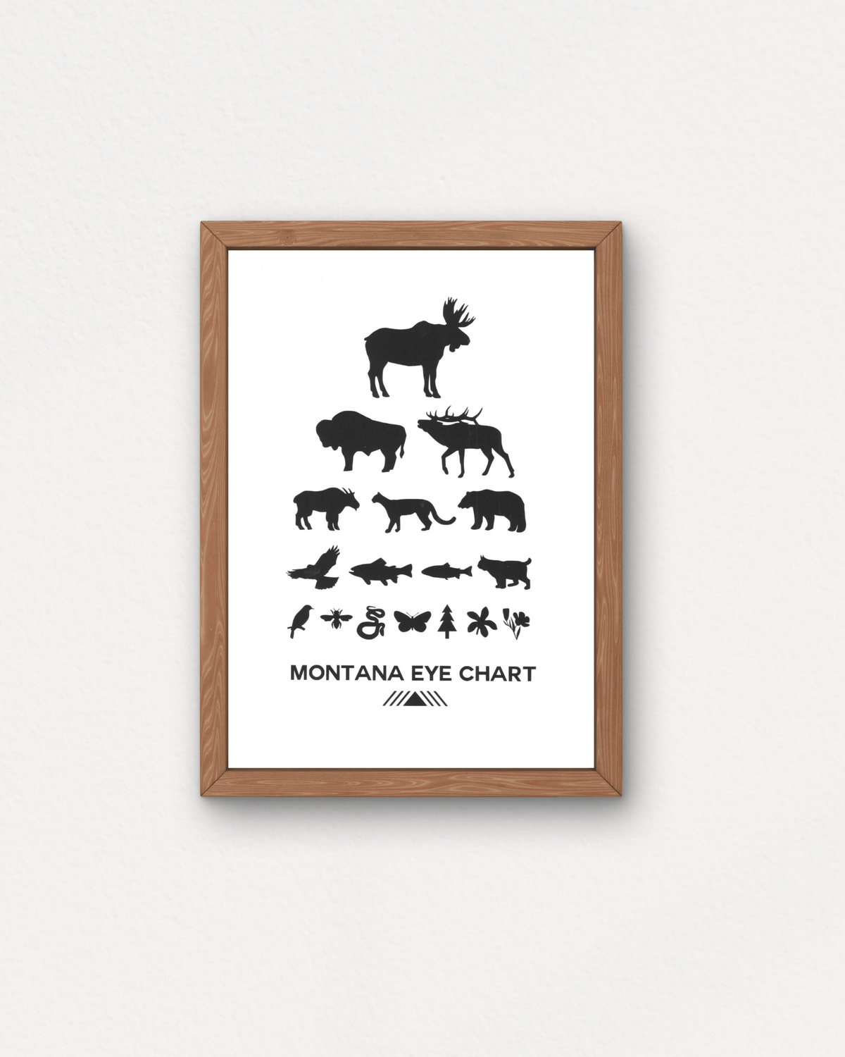 "Montana Eye Chart" Small Poster