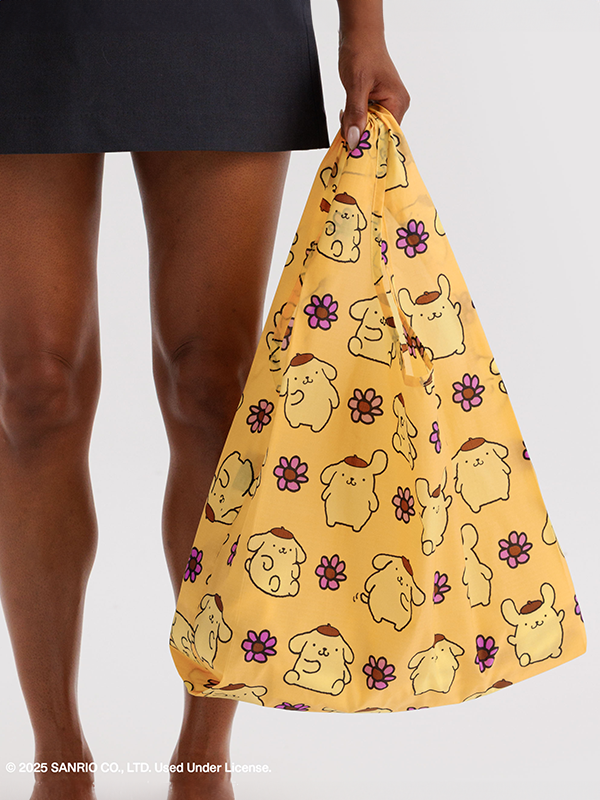 Standard Baggu: Pompompurin