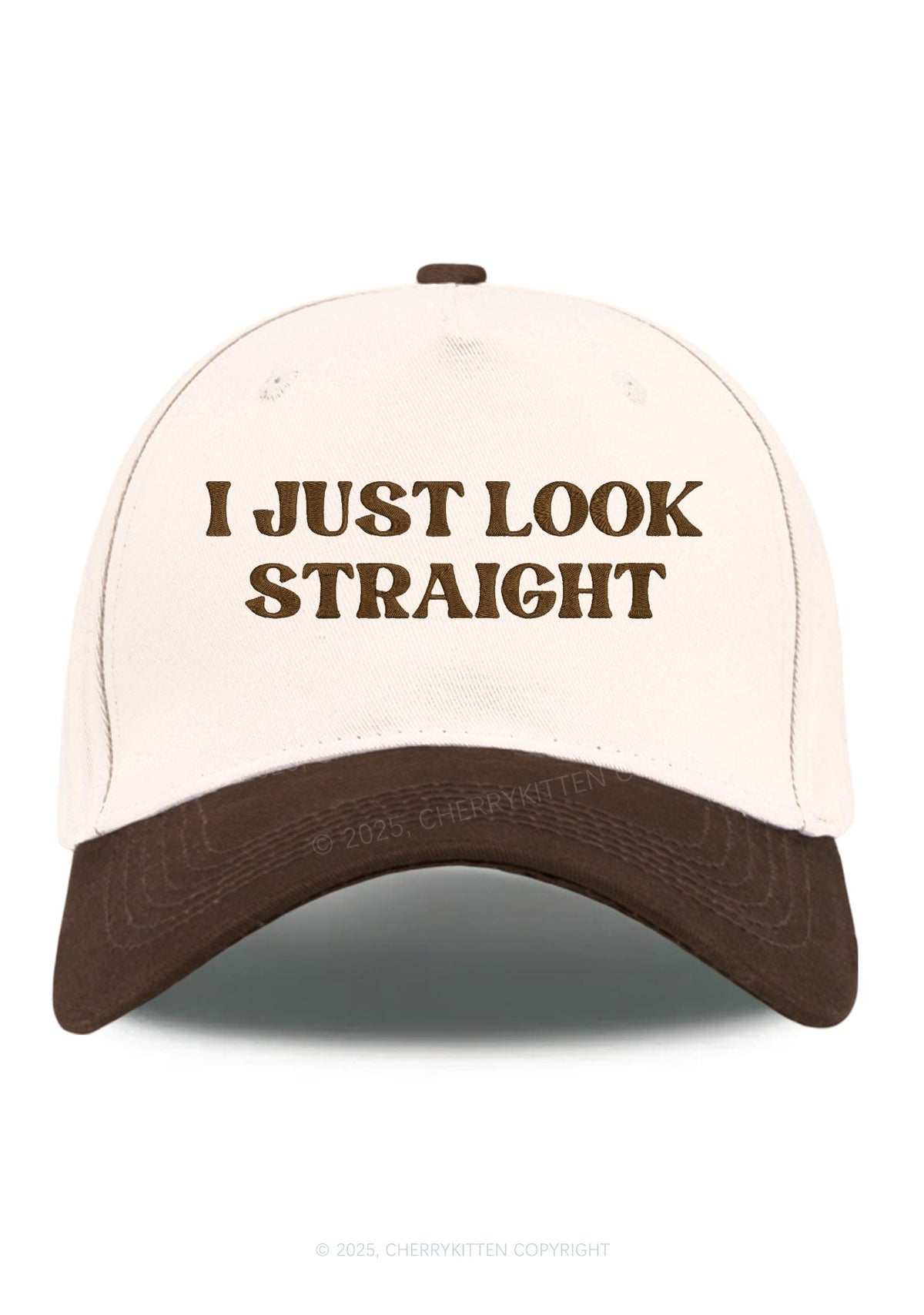 Embroidered I Just Look Straight Pride Y2K Color Block Baseball Cap Cherrykitten