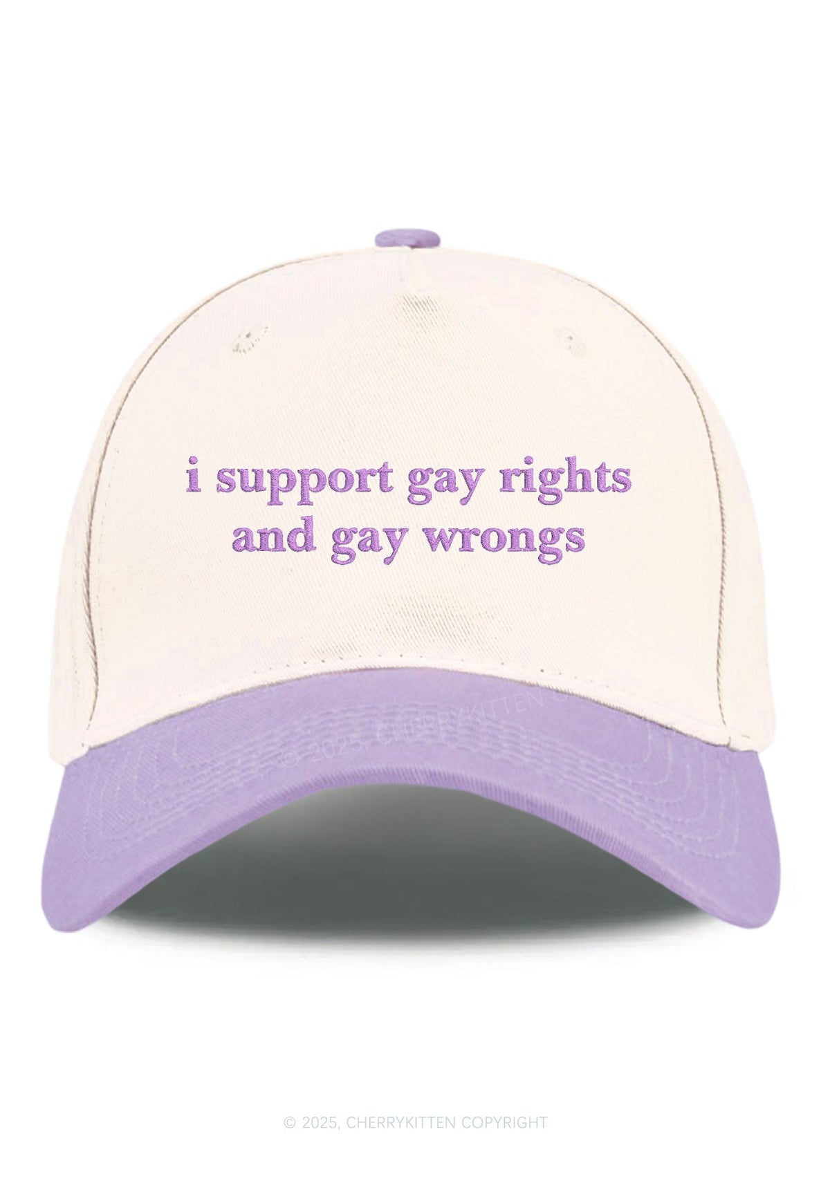 Embroidered Support Gay Rights Pride Y2K Color Block Baseball Cap Cherrykitten